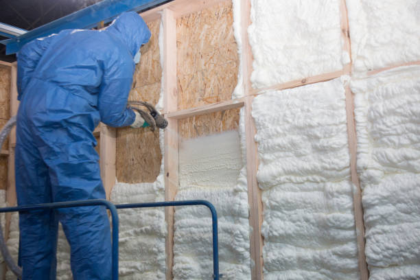 Best Eco-Friendly or Green Insulation Solutions  in Lake Goodwin, WA